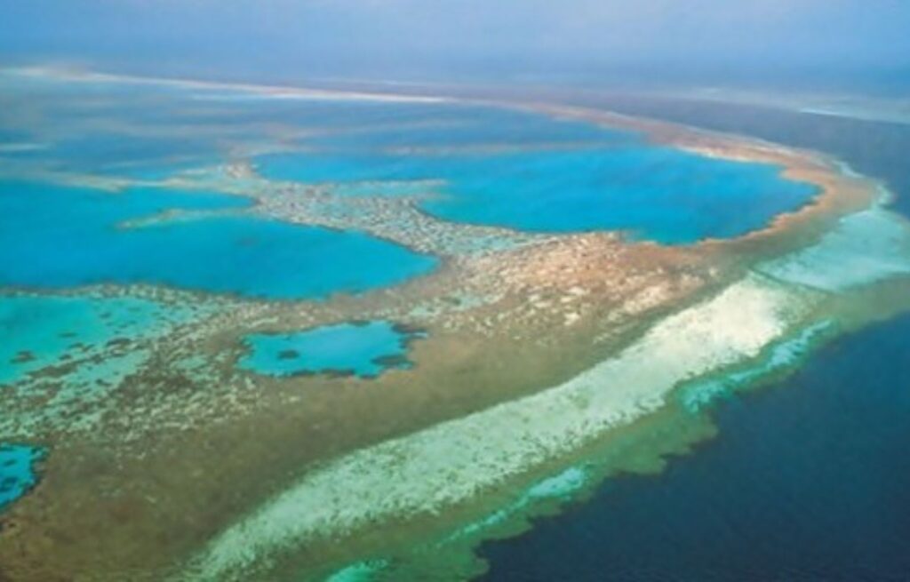 La Gran Barrera de Coral La Ciudad Submarina