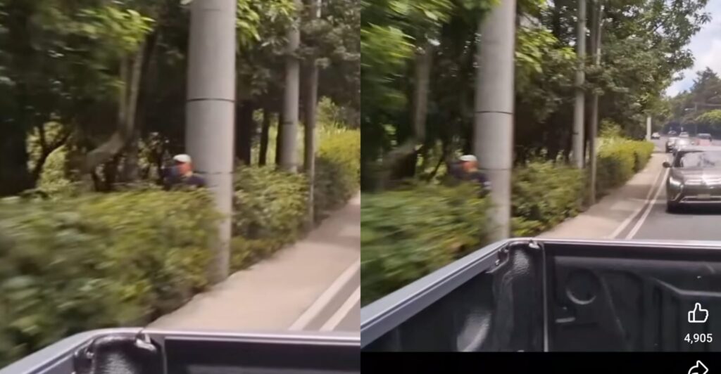 Policía de Tránsito en la Ciudad de Guatemala se esconde tras arbustos para multar vehículos sin justificación