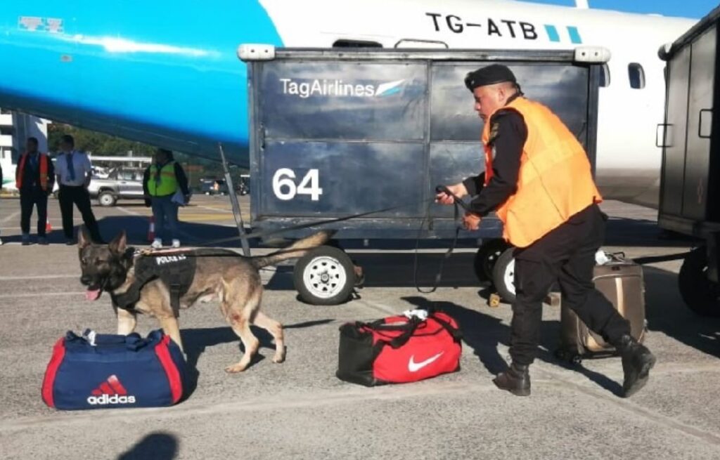 Pasajero Alarma Aeropuerto con Comentario sobre Bomba y Enfrenta Serias Consecuencias
