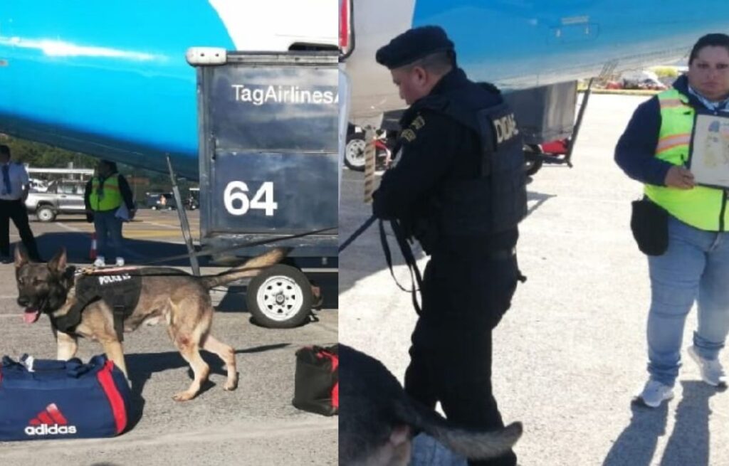 Pasajero de Aeropuerto Peten aseguró llevar una Bomba y Enfrenta Serias Consecuencias